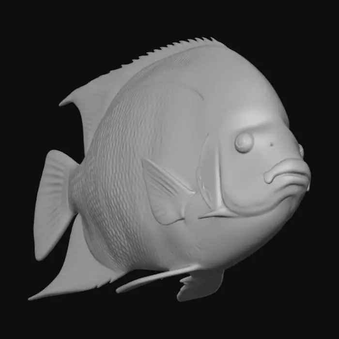 3D model for King Angelfish