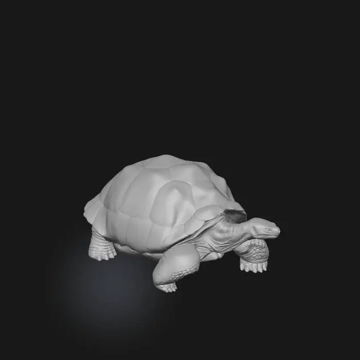 3D model for Galapagos Tortoise