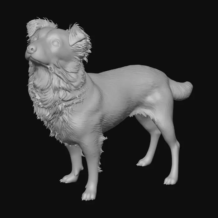 3D model for Curious Rusty Pup