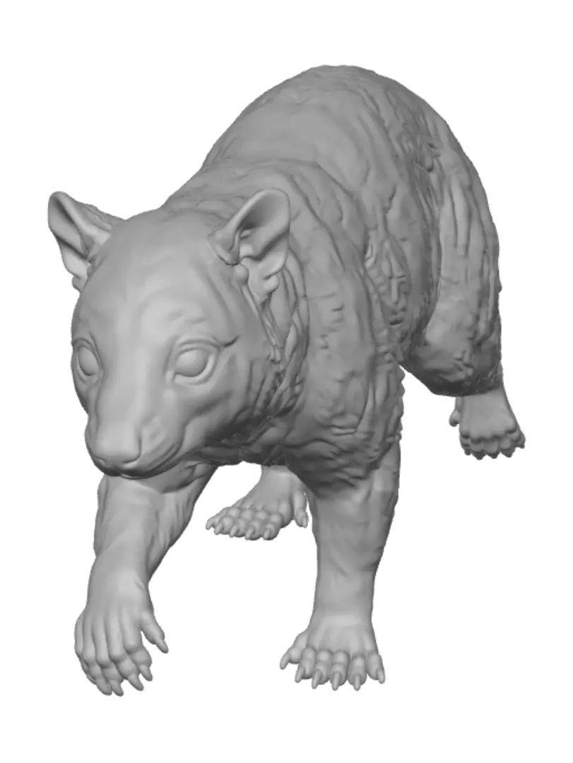 catlike