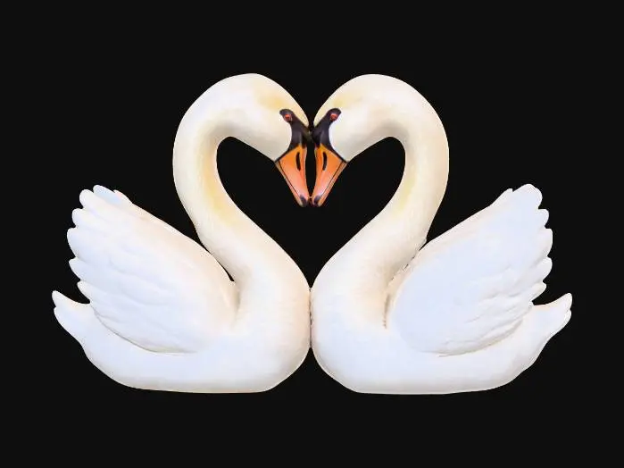 3D model for love swans