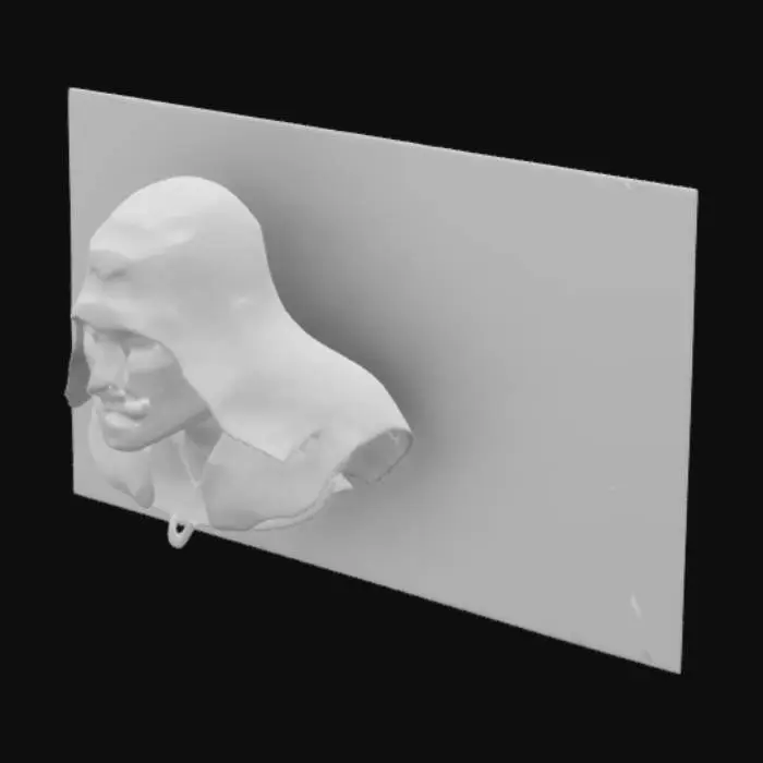 3D model for Anonymous Persona