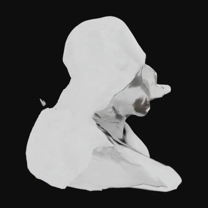 3D model for Anonymous Persona