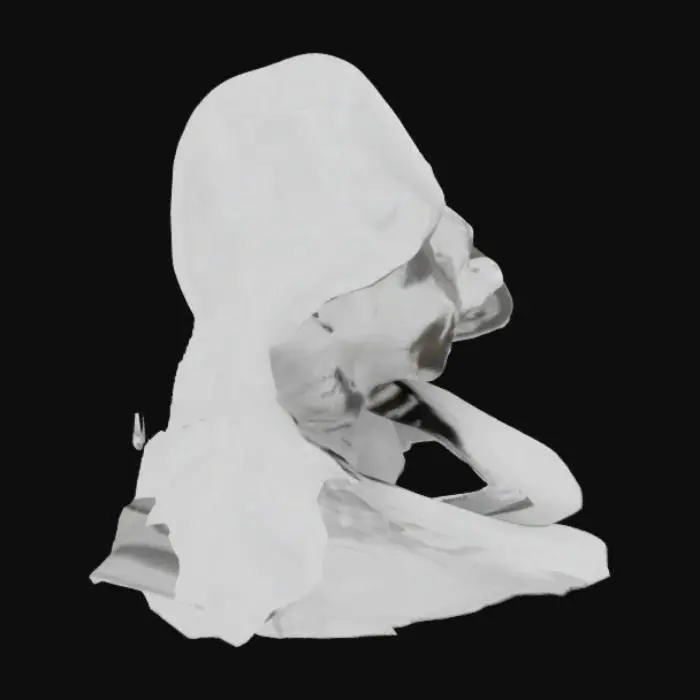 3D model for Anonymous Persona