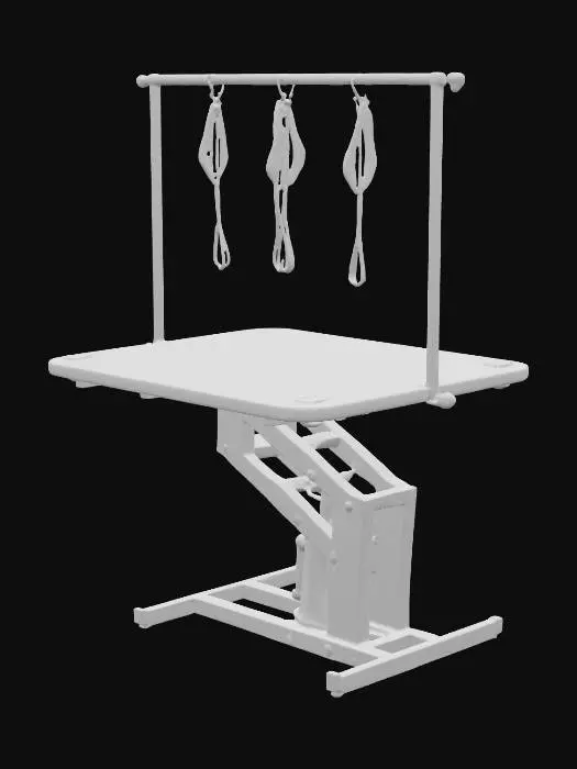 3D model for Grooming Table