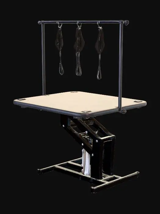 3D model for Grooming Table