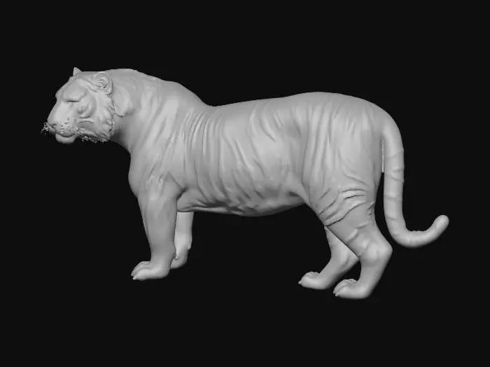 3D model for amur tiger