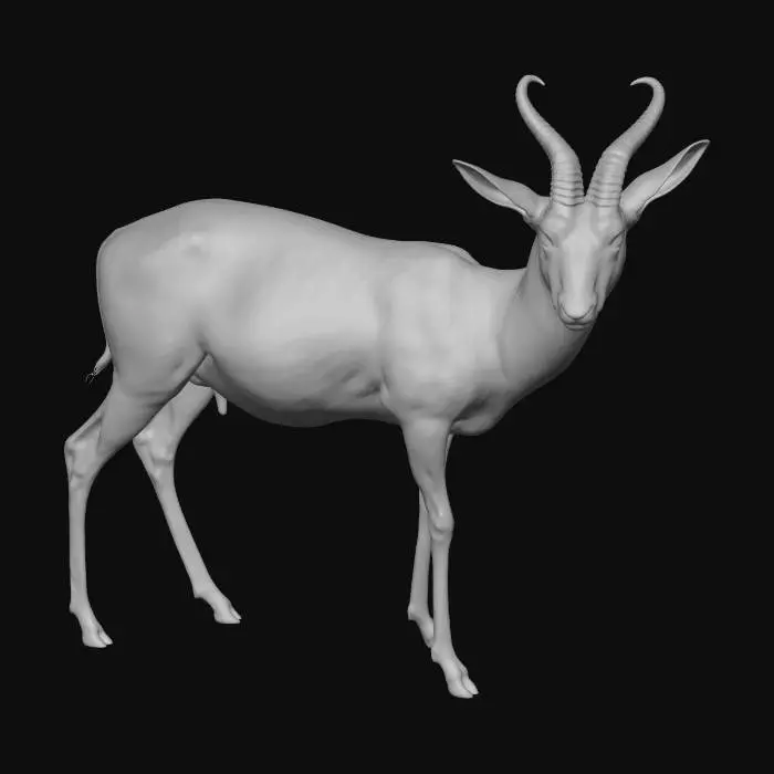 3D model for springbok