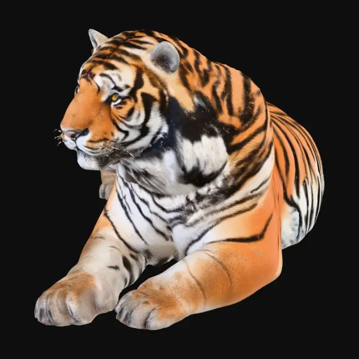 3D model for Amur tiger
