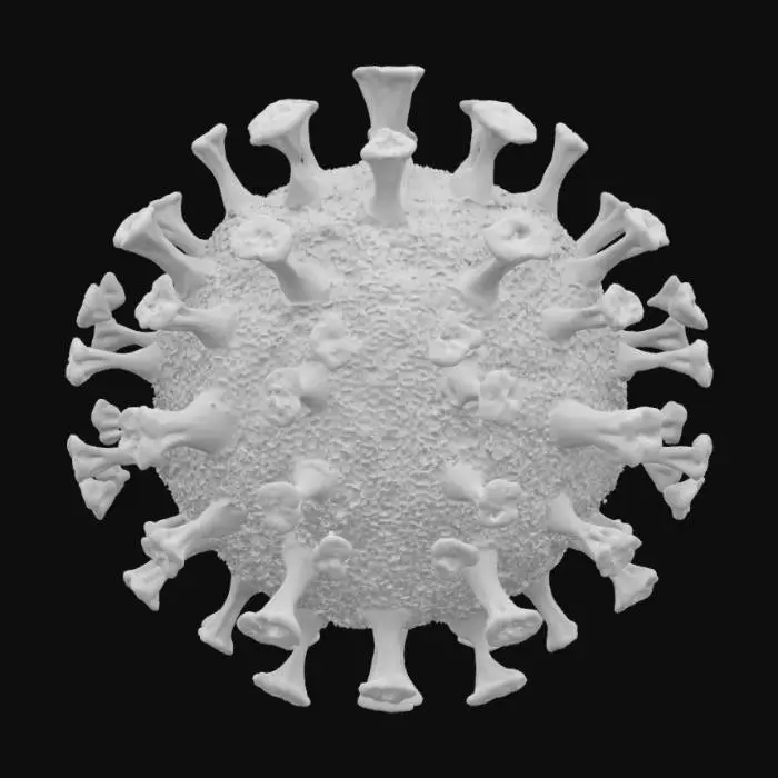 3D model for Rendu 3D ultra-détaillé d'un coronavirus en gros plan, structure sphérique avec de nombreuses protéines de pointe proéminentes ressemblant à des couronnes. Texture organique fluide avec des motifs ondulés complexes sur la surface. Couleurs dominantes rouge profond et rose vif avec des nuances pourpres. Style photoréaliste avec rendu microscopique hyper-détaillé. profondeur de champ optimale pour montrer les détails des protéines. Ambiance légèrement menaçante mais scientifiquement précise.