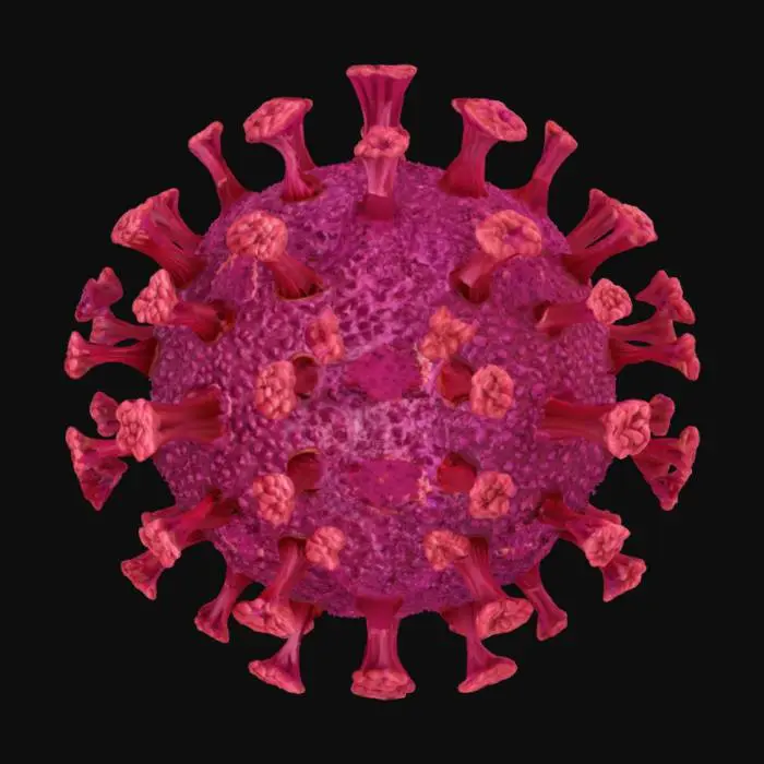 3D model for Rendu 3D ultra-détaillé d'un coronavirus en gros plan, structure sphérique avec de nombreuses protéines de pointe proéminentes ressemblant à des couronnes. Texture organique fluide avec des motifs ondulés complexes sur la surface. Couleurs dominantes rouge profond et rose vif avec des nuances pourpres. Style photoréaliste avec rendu microscopique hyper-détaillé. profondeur de champ optimale pour montrer les détails des protéines. Ambiance légèrement menaçante mais scientifiquement précise.