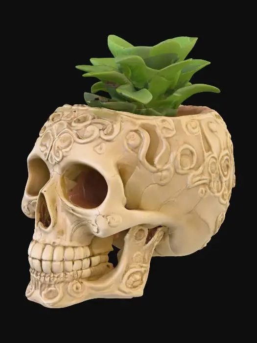 3D model for Totenschädel als Blumentopf, Blätter am Kopf am Rand