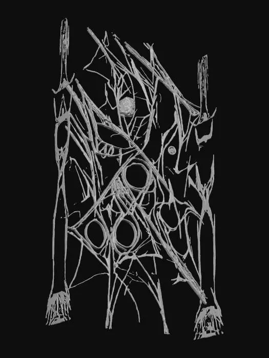 3D model for Webbed Whispers