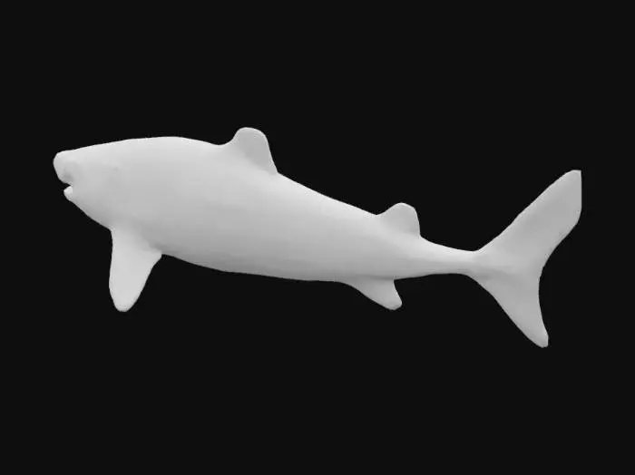 3D model for Greenland Shark