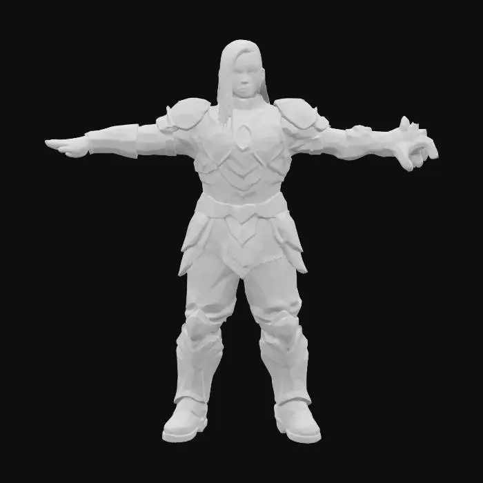 3D model for Warrior Transformation