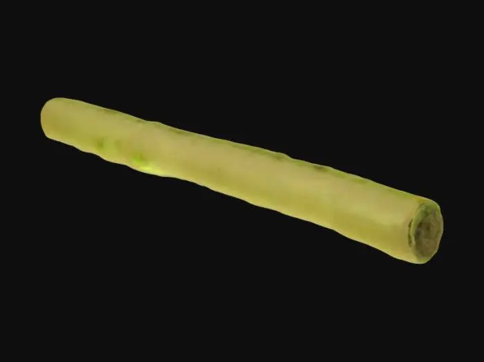 3D model for Green tightly packed lit joint