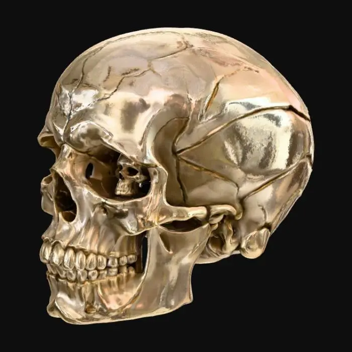 3D model for Create a detailed skull with skulls in in the eye sockets and a large crack in the front of the skull.