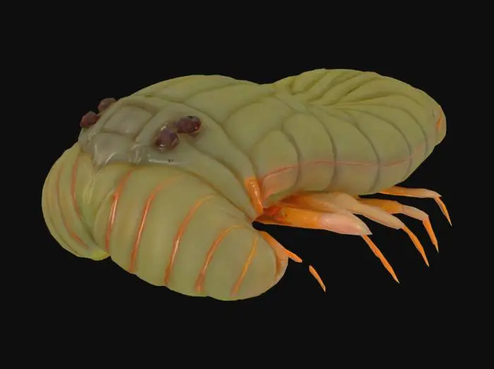 3D model for a large larval worm with snapping mandibles and eye stalks