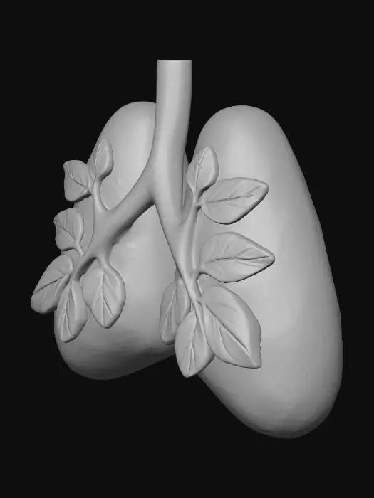 3D model for Green Lungs