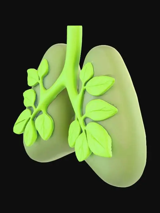 3D model for Green Lungs