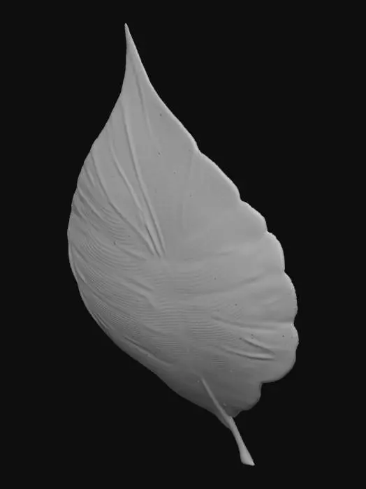 3D model for çay yaprağı