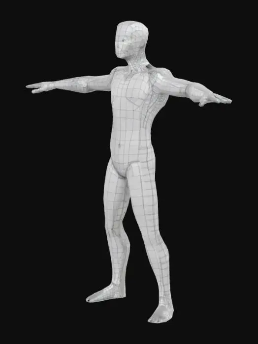 3D model for Blank T-Pose Model