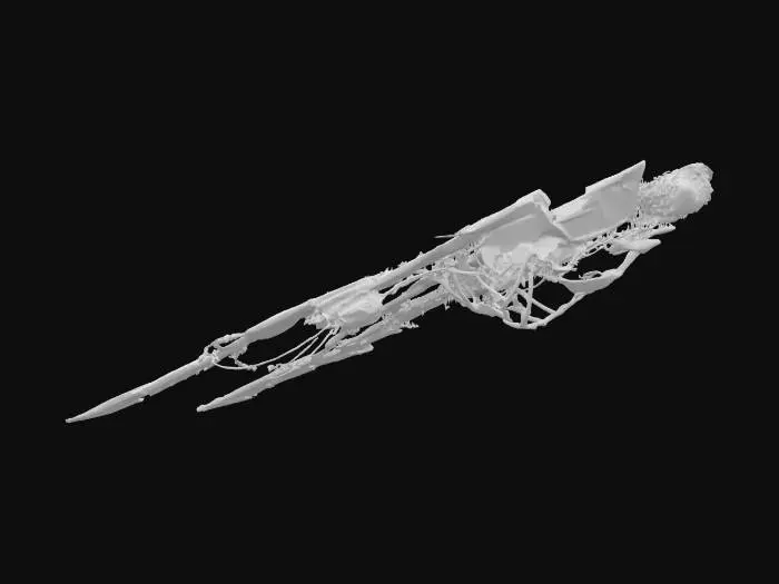 3D model for Raven Spear