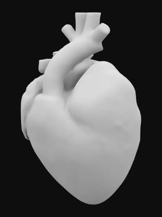 3D model for Red Vitality