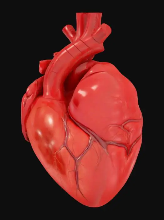 3D model for Red Vitality