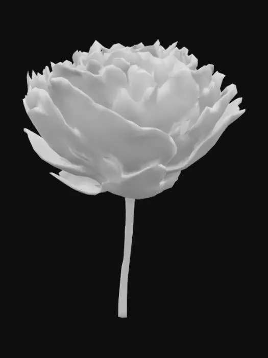 3D model for Peony Blossom