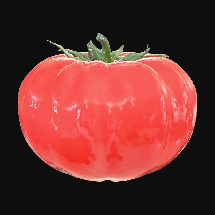 3D model for Realistic tomato