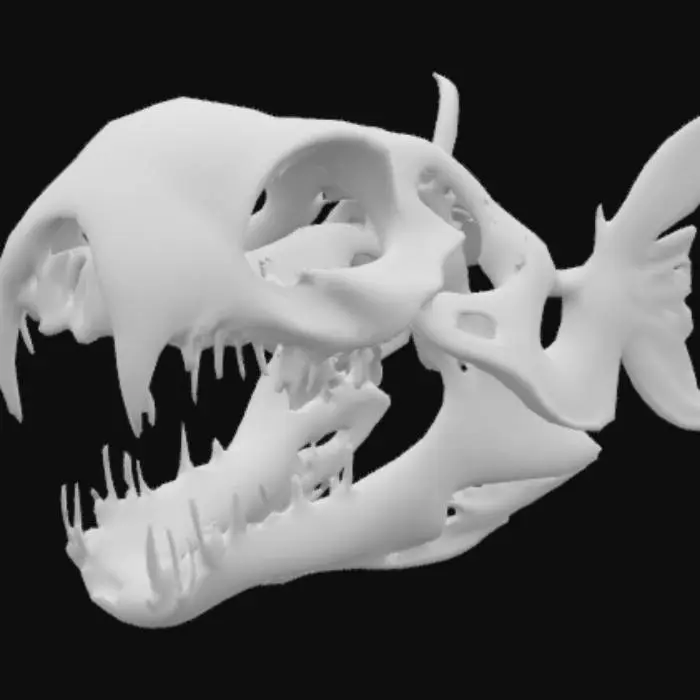 3D model for Creepy Fishskull with razorsharp teeth, ultra detailed, highest Quality 