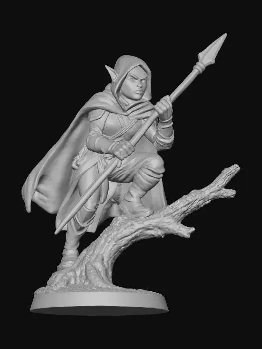 3D model for Shadow Sentinel