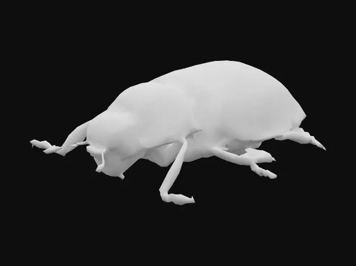 3D model for Ladybug 