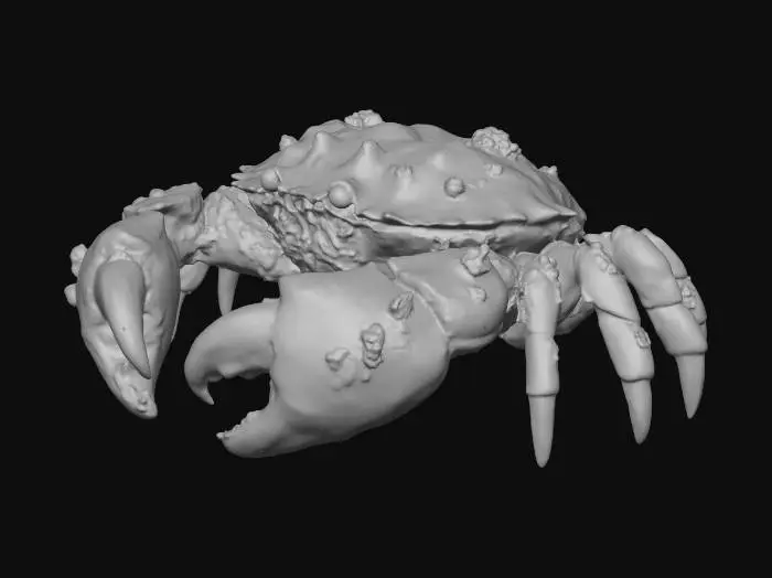 3D model for Rocky Crab