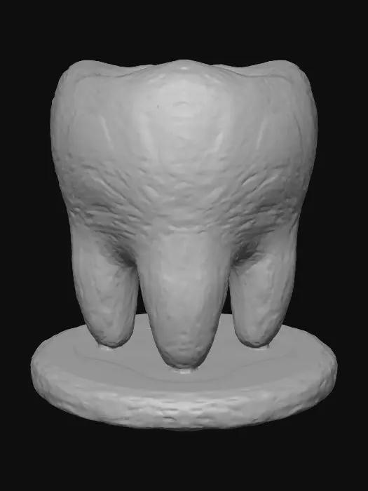 3D model for Tooth Planter Holder