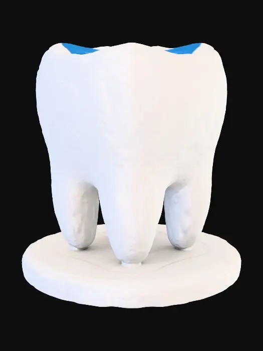 3D model for Tooth Planter Holder