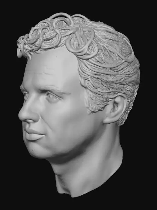 3D model for Determined Gaze