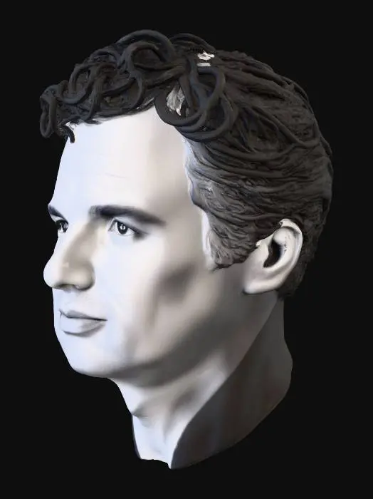 3D model for Determined Gaze