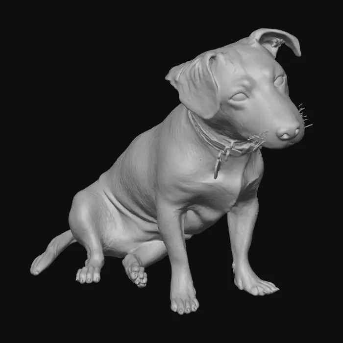 3D model for Curious Pooch