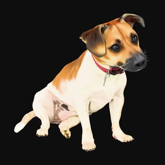 3D model for Curious Pooch