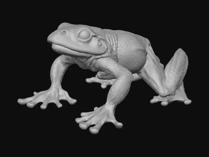 3D model for greentreefrog_cam10.jpg