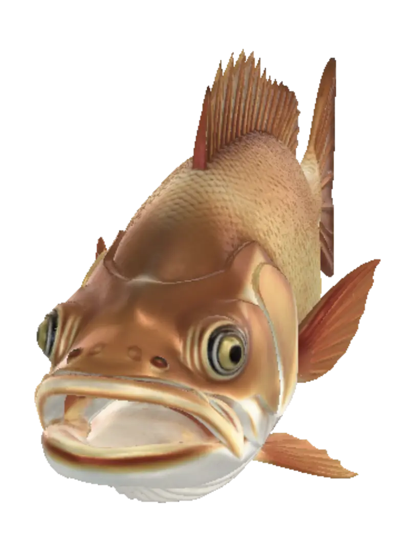 bass