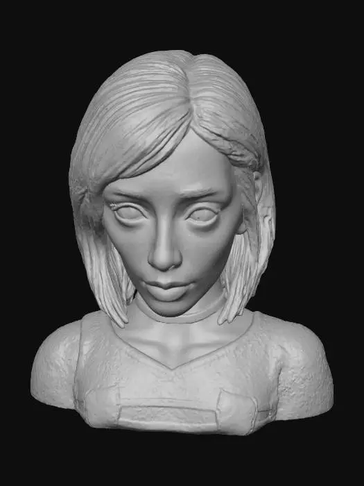 3D model for Noir Vision