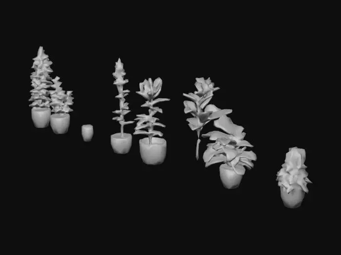 3D model for Plant Collection Grid