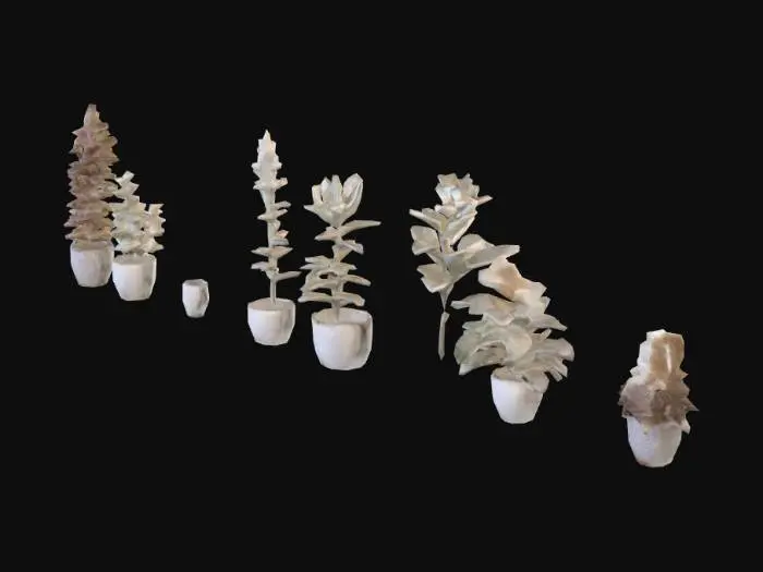 3D model for Plant Collection Grid