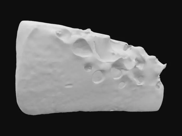 3D model for Blue Cheese Fantasy