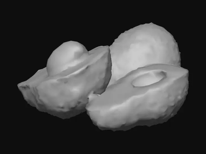 3D model for Avocado Trio