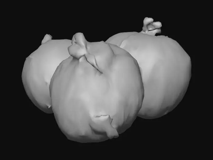 3D model for Onion Trio