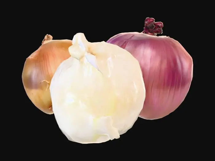 3D model for Onion Trio